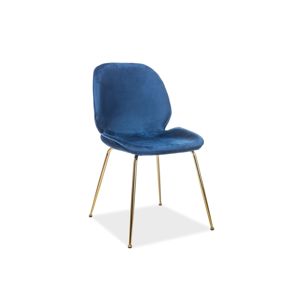 BERIEN jedálenská stolička, modrý zamat / zlatá